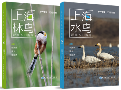 图片24.png 图片24.png