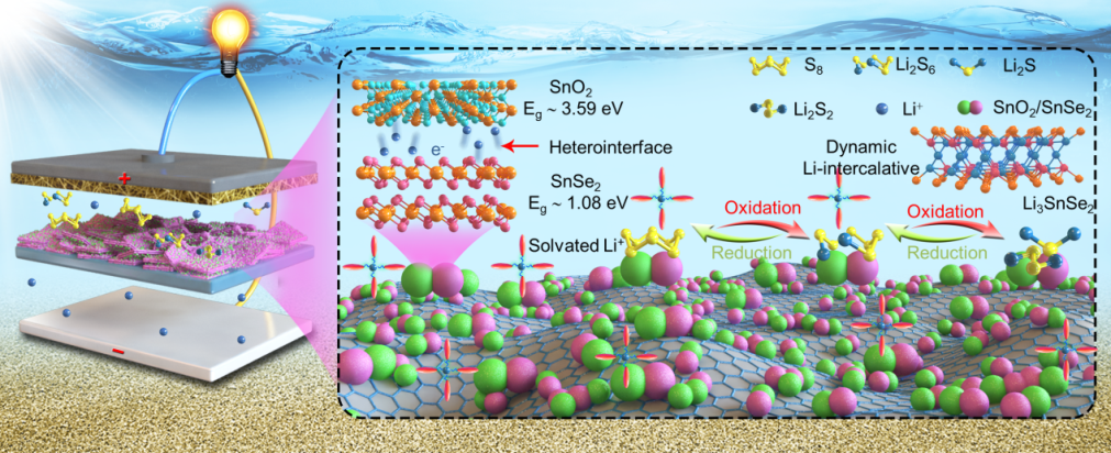 Acs Nano