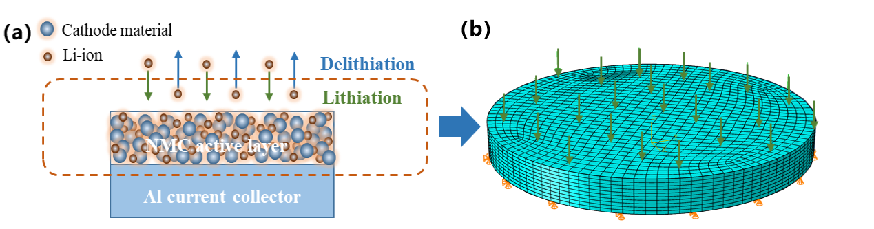 (a)正極材料鋰離子嵌入/脫出過程示意圖 (b)鋰化階段模型施加