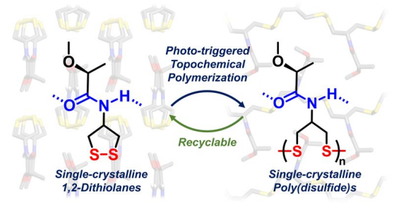 1761270561584036936.jpg QQ20251024-094835.jpg